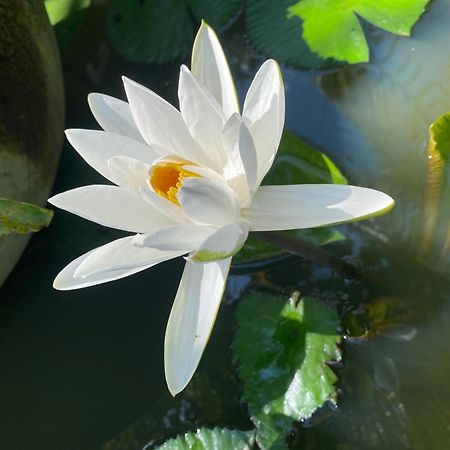 Damith Guest House อูนาวาตูนา ภายนอก รูปภาพ
